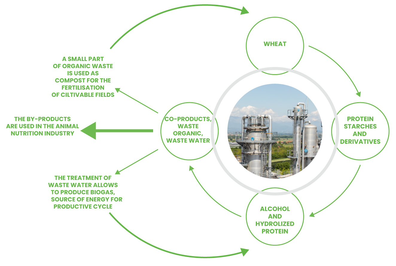 Circular Economy